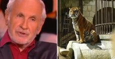 Fort Boyard : Patrice Laffont révèle pourquoi il n'a jamais eu peur des tigres de Fort Boyard