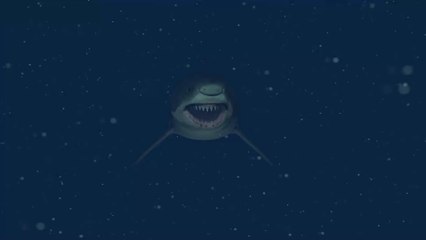 États-Unis : Elle se fait attaquer par un requin lors d'un shooting photo en pleine mer
