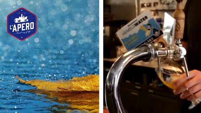 A Amsterdam, on brasse de la bière avec de l'eau de pluie