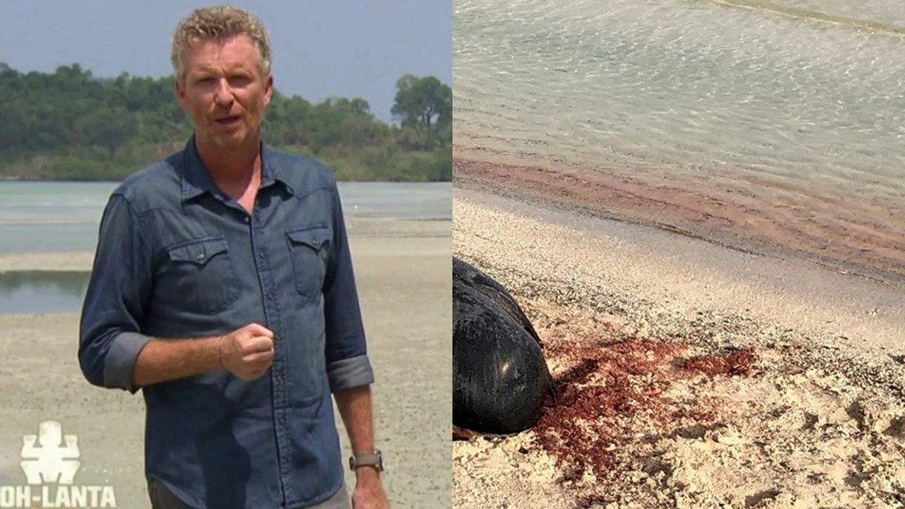 Koh-Lanta : en plein tournage, Denis Brogniart fait une découverte macabre sur une plage des îles Fidji