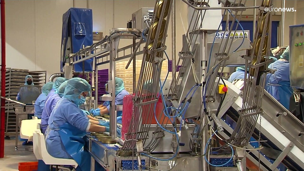 Sonnenblumen-Ölkrise bedroht spanische Fischkonserven