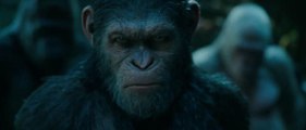 La Planète des Singes : Suprématie : 3 films pour comprendre la 'Motion Capture'