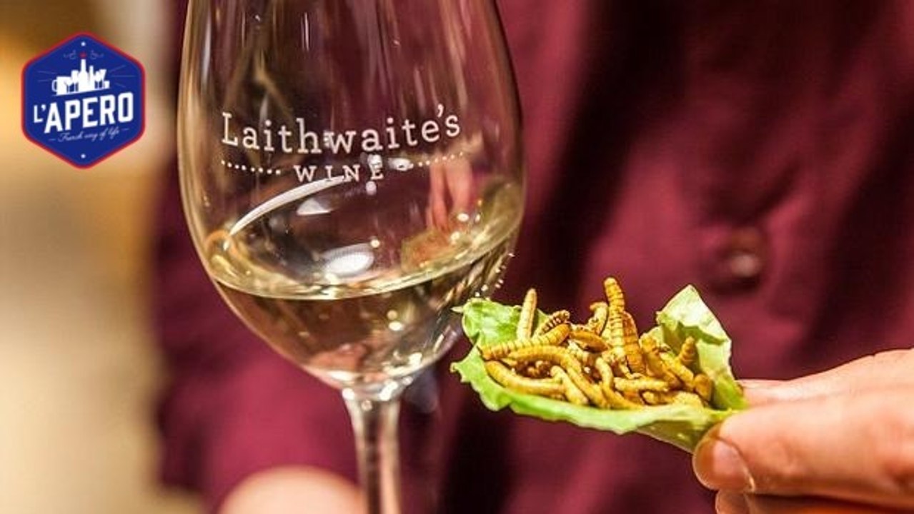 Grillons, vers : découvrez quels vins vous pouvez boire avec des insectes