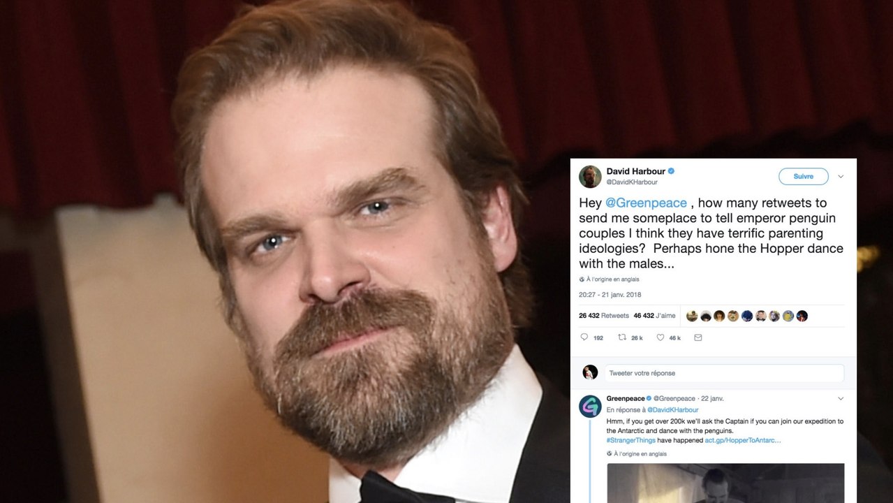 David Harbour : après un nouveau pari perdu, l'acteur de Stranger Things va aller danser avec des manchots en Antarctique