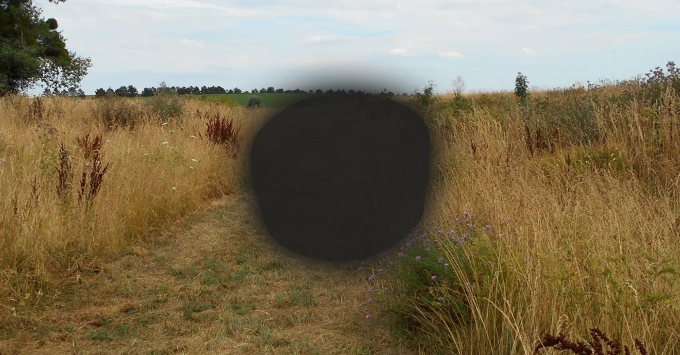 Taches noires devant les yeux : quand faut-il commencer à s'inquiéter ?