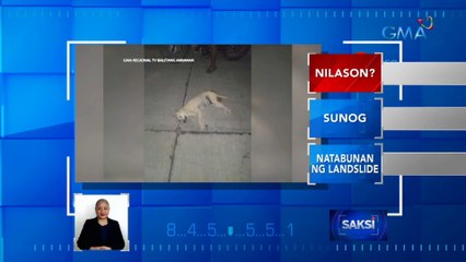 Mga namatay na alagang aso, hinihinalang nilason | Saksi