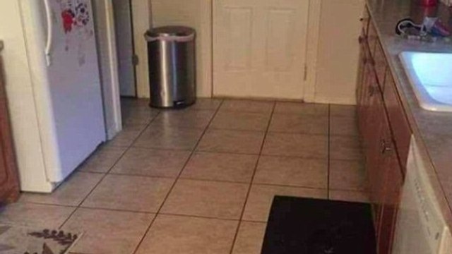 Un chien se cache dans cette photo. Saurez-vous le trouver ?