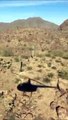 Un cône de chantier retrouvé perché sur un cactus à 10m de hauteur en plein desert... Mystérieux