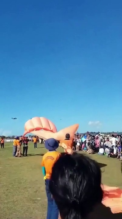 Une petite fille emportée par un cerf-volant s'en sort par miracle... quelle chance!!