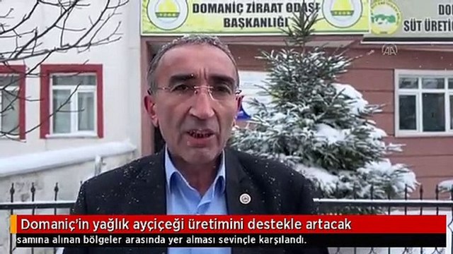 Domaniç'in yağlık ayçiçeği üretimini destekle artacak