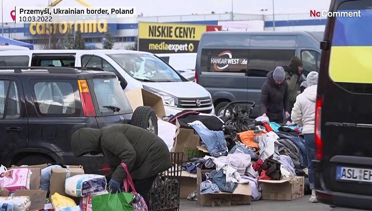 Nicht ohne meinen Hund - zahlreiche Haustiere fliehen mit ihren Frauchen vor der russischen Armee