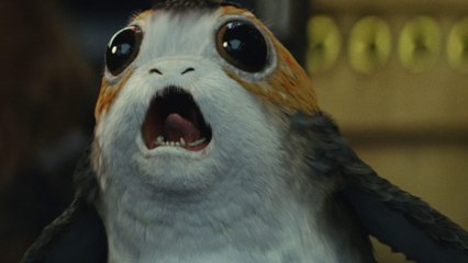 Star Wars 8 : la drôle d'histoire qui se cache derrière la création des "Porgs"