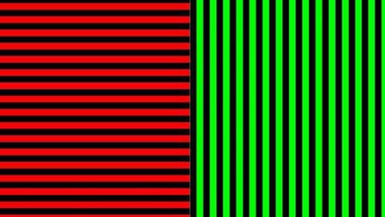 Attention, cette image peut vous "casser le cerveau"