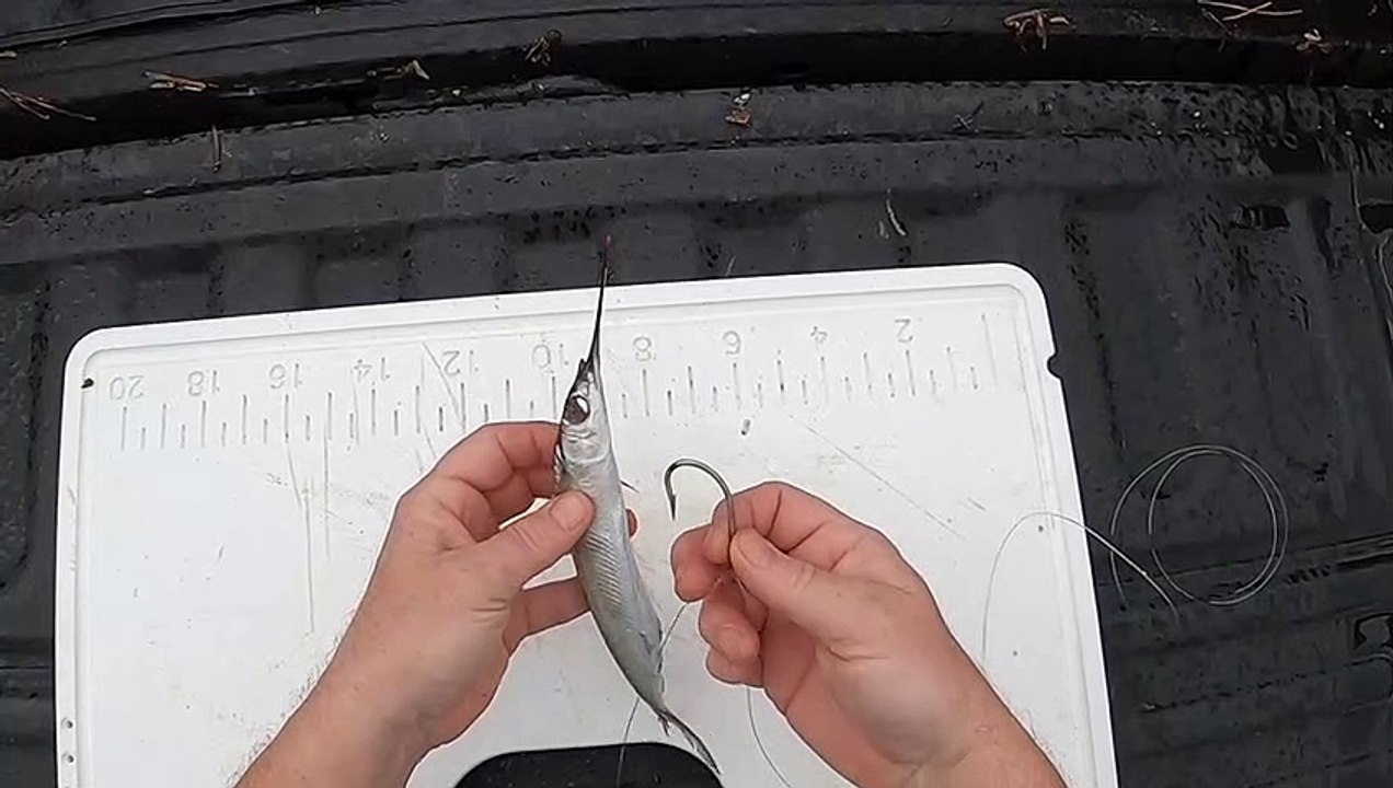 Basic Ballyhoo Rig