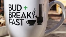 Découvrez BudnBreakfast, une auberge de jeunesse pas comme les autres