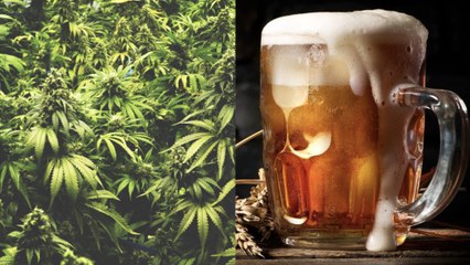 Une nouvelle étude l'affirme : l'alcool serait plus nocif pour votre cerveau que le cannabis