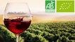Le vin bio est-il vraiment meilleur pour la santé ?