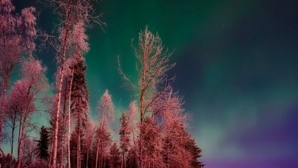 Pourquoi la Finlande est le pays le plus heureux du monde ?