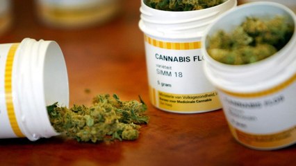 Le cannabis thérapeutique bientôt autorisé en France ?