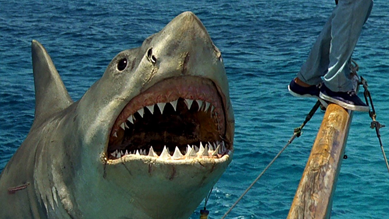 Un meurtre vieux de 44 ans bientôt élucidé grâce au film "Les Dents de la mer" ?