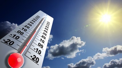 Ce que le réchauffement climatique a déjà changé dans l'Hexagone