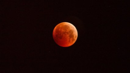 Eclipse de Lune : les images françaises de la "Lune de Sang"