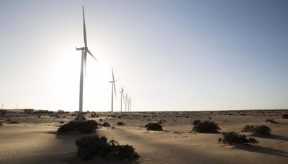 Sahara : de la végétation dans le désert grâce à des éoliennes ?