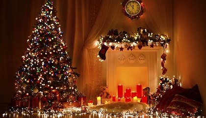 Faudra-t-il se passer des sapins à Noël ?