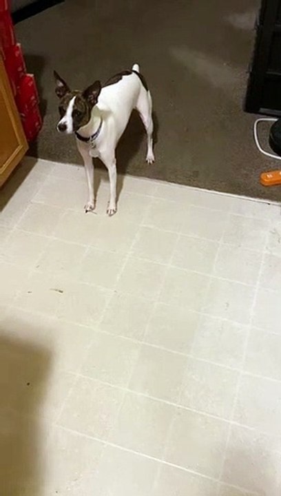 Princess plays with paper towel roll