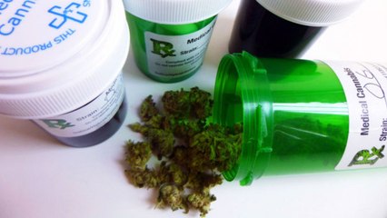 Vers une autorisation du cannabis thérapeutique en France ?