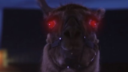 Llamageddon : la drôle d'histoire d'un film d'horreur totalement barré en vente pour 1 million de dollars sur Amazon