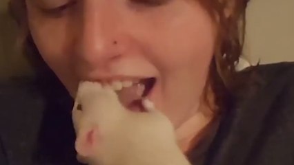 Se laver les dents avec un rat : la nouvelle tendance