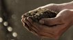 Le "compost humain" : la nouvelle alternative à l'enterrement ou l'incinération