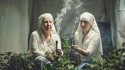 Insolite : des bonnes soeurs deviennent riches en cultivant de la marijuana !