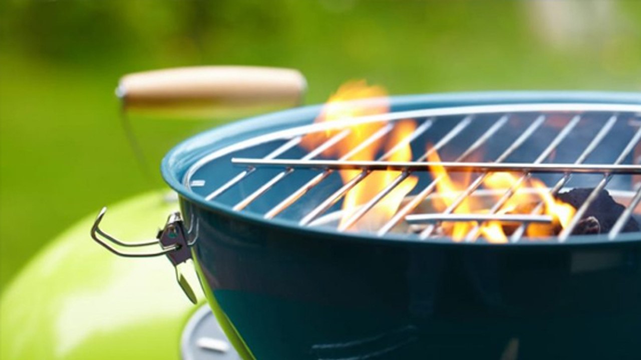 Leur barbecue démarre un feu de forêt, deux étudiants prennent 27 millions d'euros d'amende