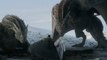 Game of Thrones : les 5 détails qu'il ne fallait pas manquer dans la bande-annonce de la saison 8