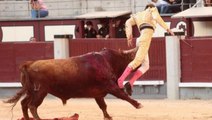 Espagne : un torero gravement blessé au rectum par un taureau (VIDEO)