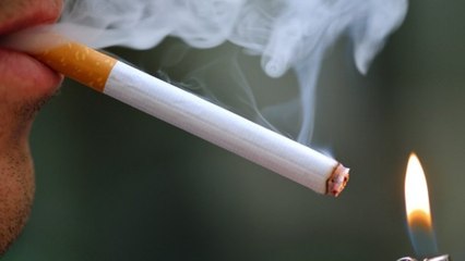 Paris va interdire la cigarette dans 52 parcs et jardins