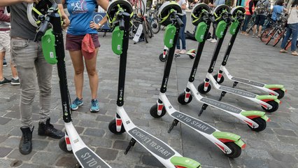 Ecologie : la trottinette électrique pollue-t-elle plus qu'un bus ?
