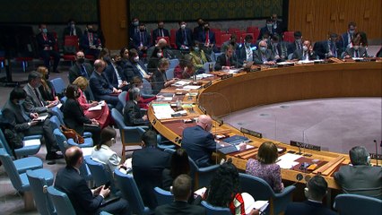 Armes biologiques en Ukraine ? Passe d'armes au Conseil de sécurité de l'ONU