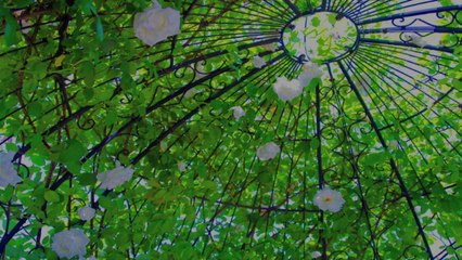 視力回復を自分で試してみましょう！面白い雑学