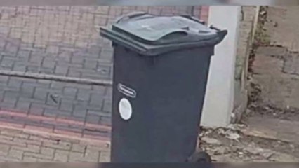 Illusion d'optique : cette "poubelle volante" va vraiment vous rendre fou