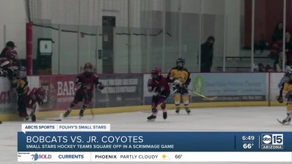 Fouhy's Small Stars: Bobcats vs. Jr. Coyotes