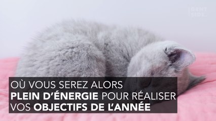 "Netflix and chill" : et si pour mieux commencer l'année, on "hibernait" ?