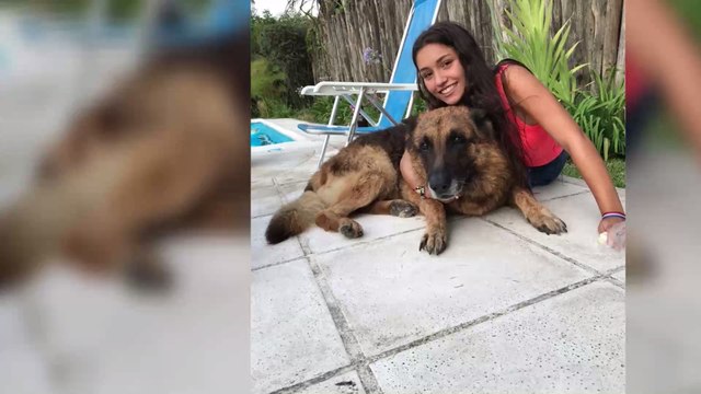 Sa séance photo avec un chien tourne au cauchemar, elle doit subir 40 points de suture