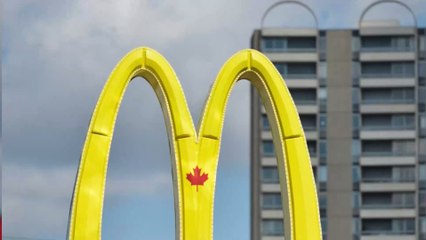 McDonald's : que contiennent vraiment les steaks des burgers ?