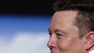 Tesla : un Belge évite un sanglier en pleine nuit grâce au mode autopilot, Elon Musk réagit sur les réseaux sociaux