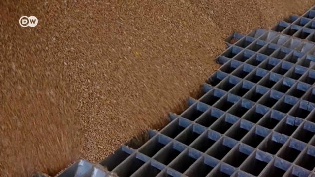 Резкий скачок цен на зерновые из-за войны: что будет с ценами на продовольствие? (11.03.2022)