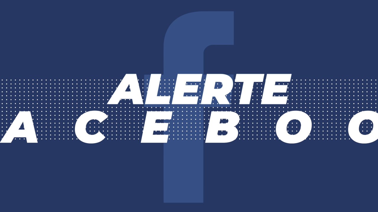 La police du Mans appelée pour traquer un gros tigre... en peluche