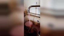 En Italie, l'eau du robinet s'est transformée... en vin !